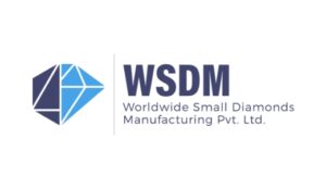 wsdm-newtwork-group-logo (1)
